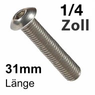 Schrauben Rundkopf 1/4 Zoll UNC Chromstahl A2 31mm