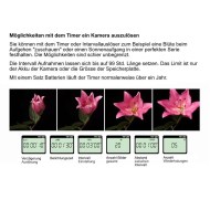 Wireless Intervallauslöser Pixel TW-283 S2 für Sony E-Mount Kameras